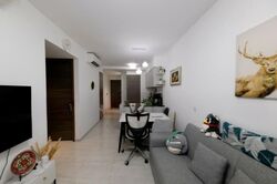 The Florence Residences (D19), Apartment #519747651